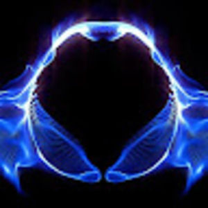 Meet your Posher, Will